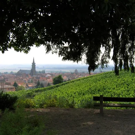 De L'ours Blanc * Dambach